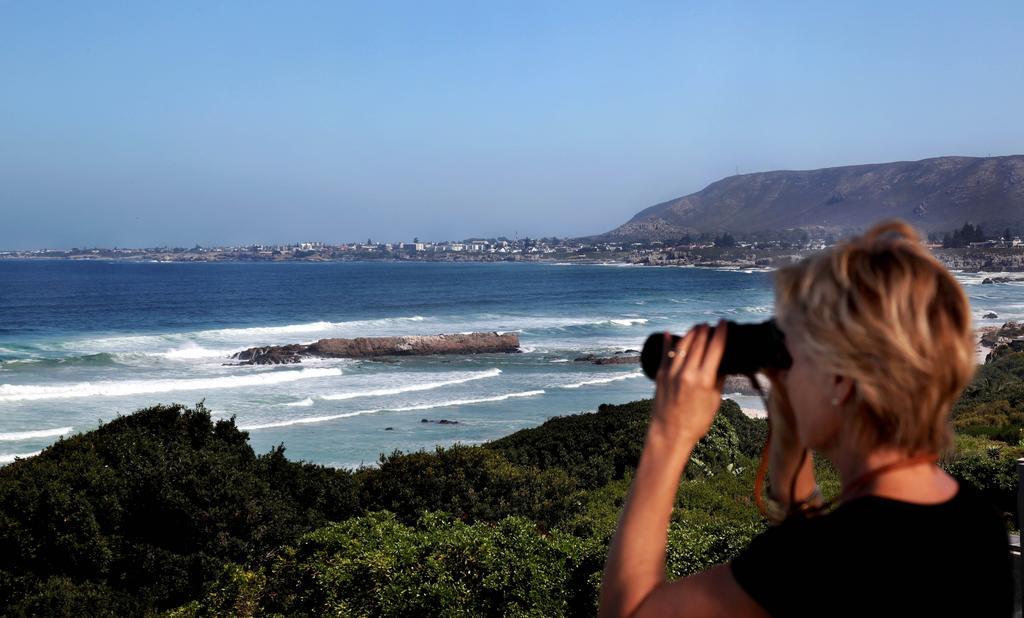 Hermanus Beach Villa Exterior foto
